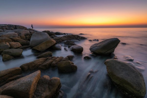 Comment organiser un camping pour observer les phoques en région côtière?